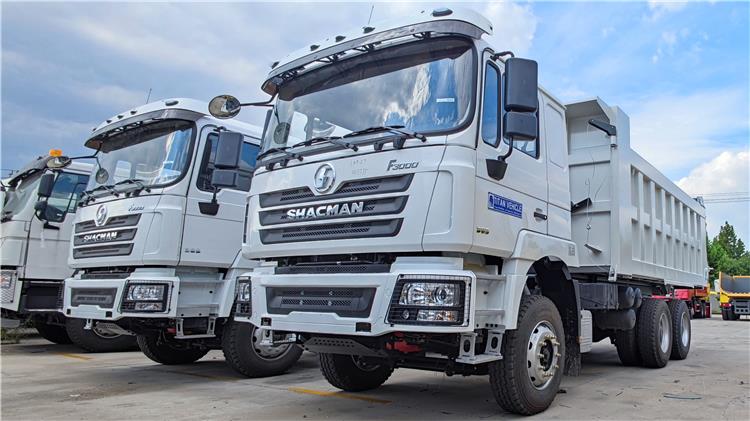 Shacman F3000 Dump Truck for Sale In Tanzania