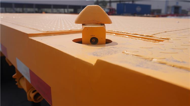 CIMC 2 Axle 20 ft Flatbed Trailer for Sale In Jamaica - China CIMC
